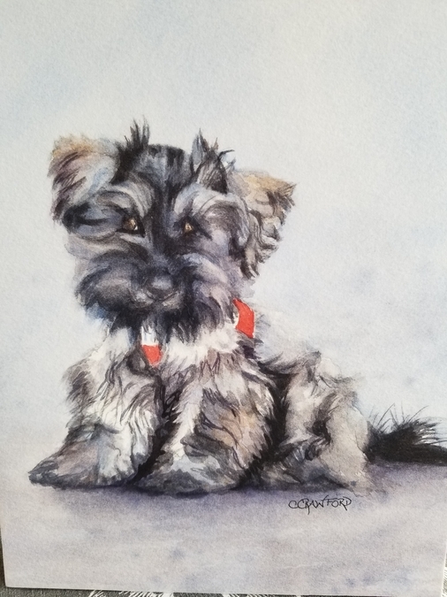 Schnauzer