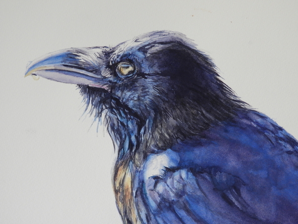 SOLD  Raven II